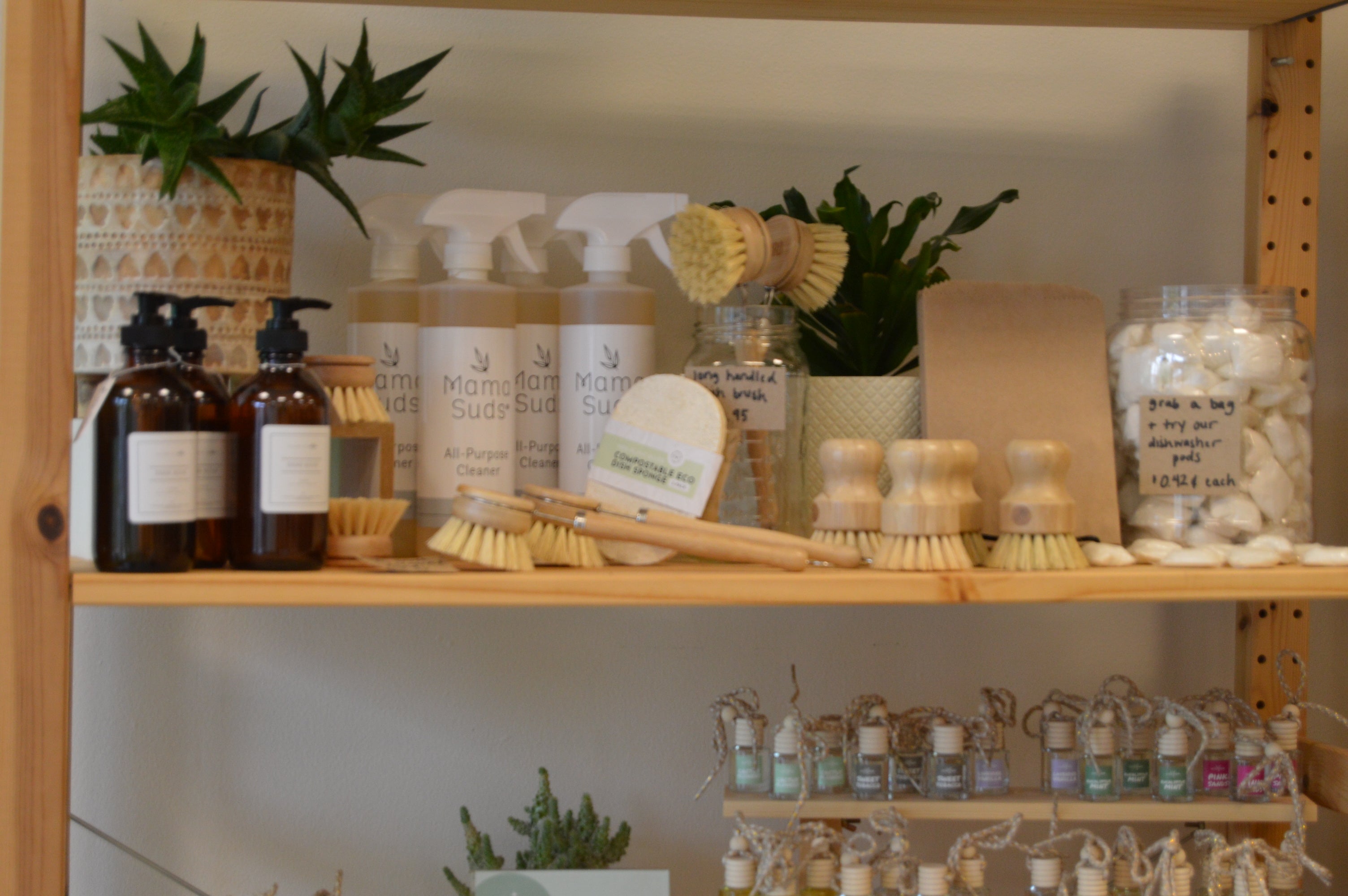 Eco-Friendly Swaps