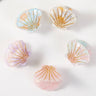 Mini Seashell Claw Clip Set