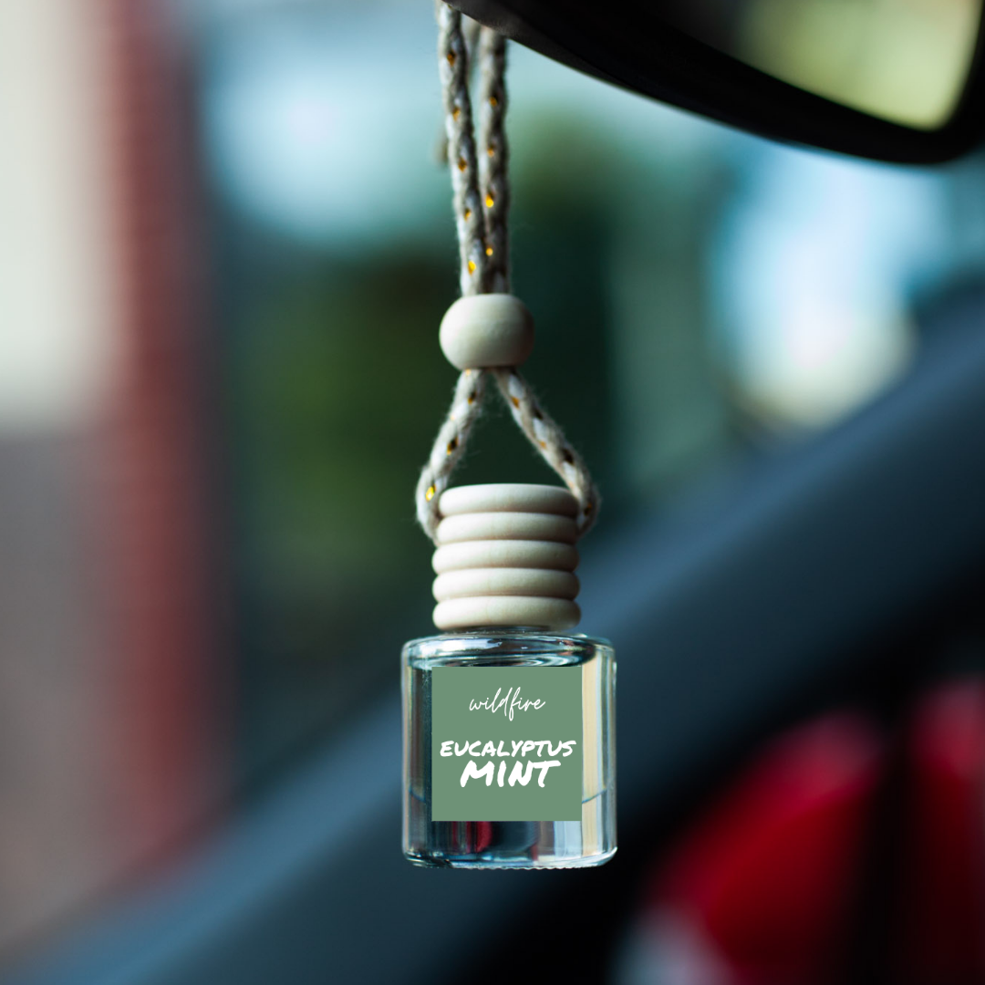 Hanging Car Air Freshener - Eucalyptus Mint